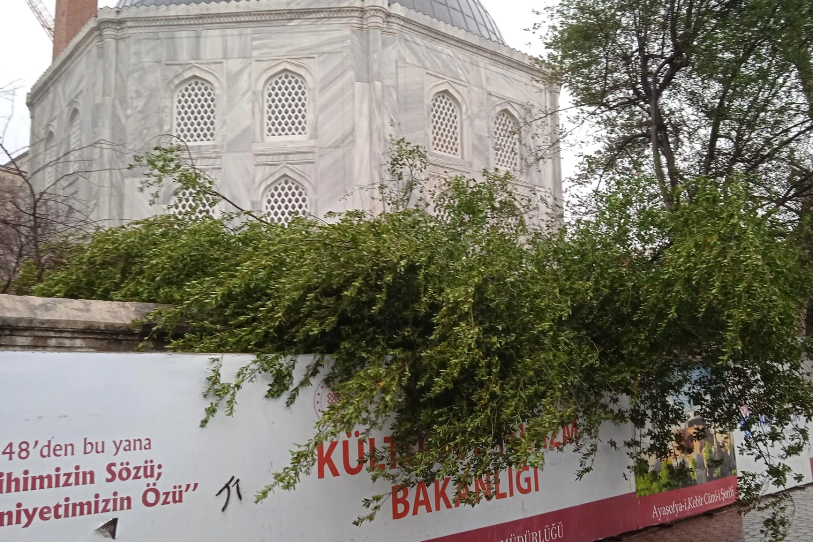 Ayasofya Camii'nde minare alem d&uuml;şt&uuml;! Bah&ccedil;edeki ağa&ccedil; kontrol altında