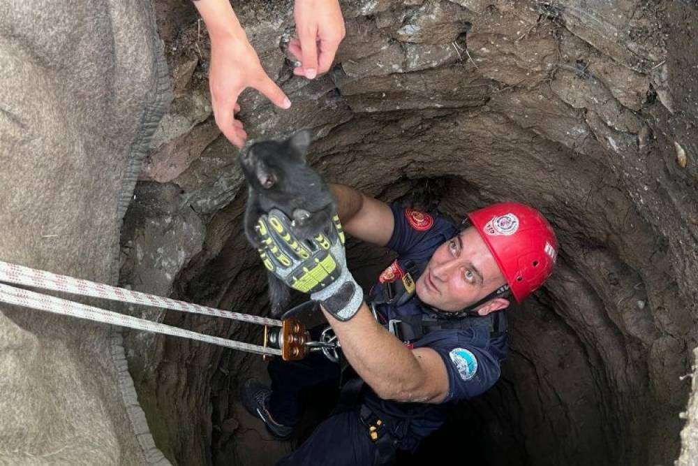 Minik yavruya Kayseri İtfaiyesi'nden yardım