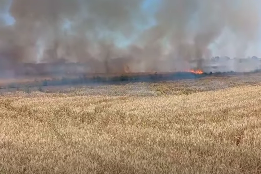 Uzunk&ouml;pr&uuml;&rsquo;de buğday yangını korkuttu
