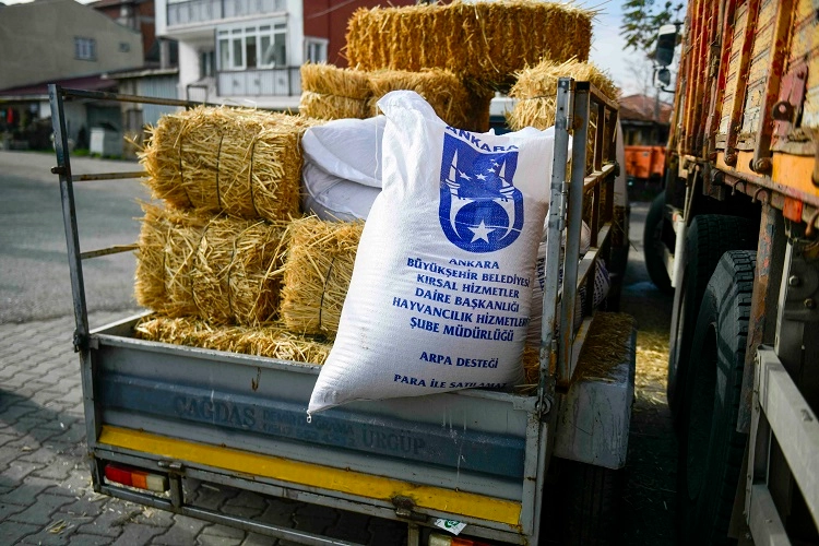 ABB'nin kırsal kalkınma destekleri s&uuml;r&uuml;yor