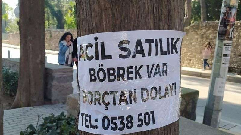 Bu ilanı görenler ŞOK oldu