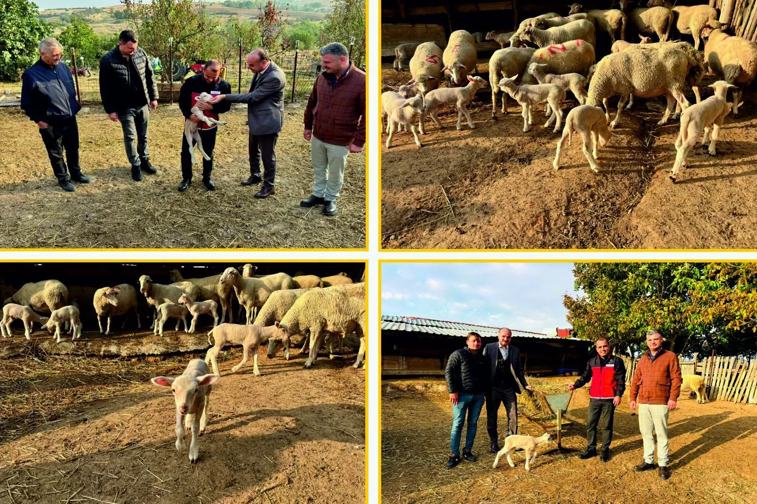 Edirne protokol&uuml;nden gen&ccedil; &uuml;reticiye yakın markaj
