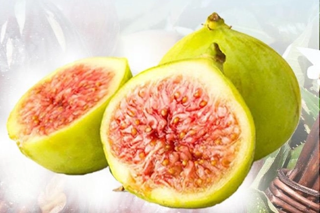 Balıkesir B&uuml;y&uuml;kşehir'den incir fidanı desteği