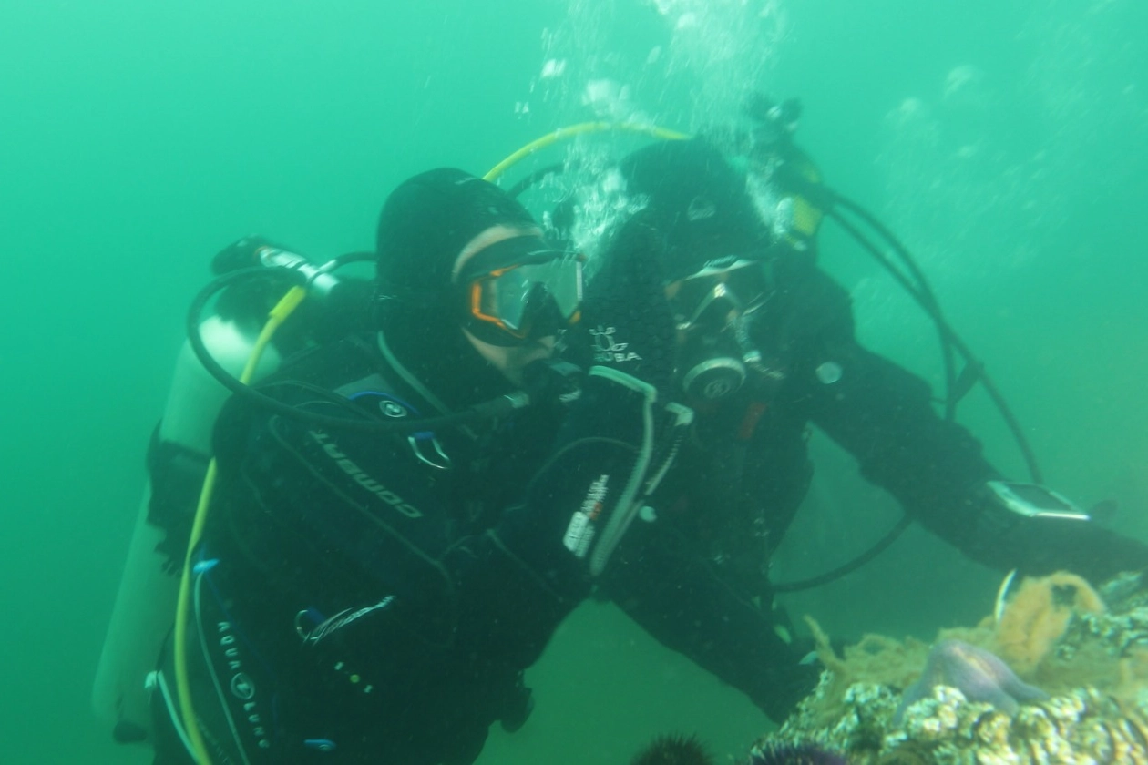 Kocaeli'de İzmit K&ouml;rfezi artık nefes alıyor