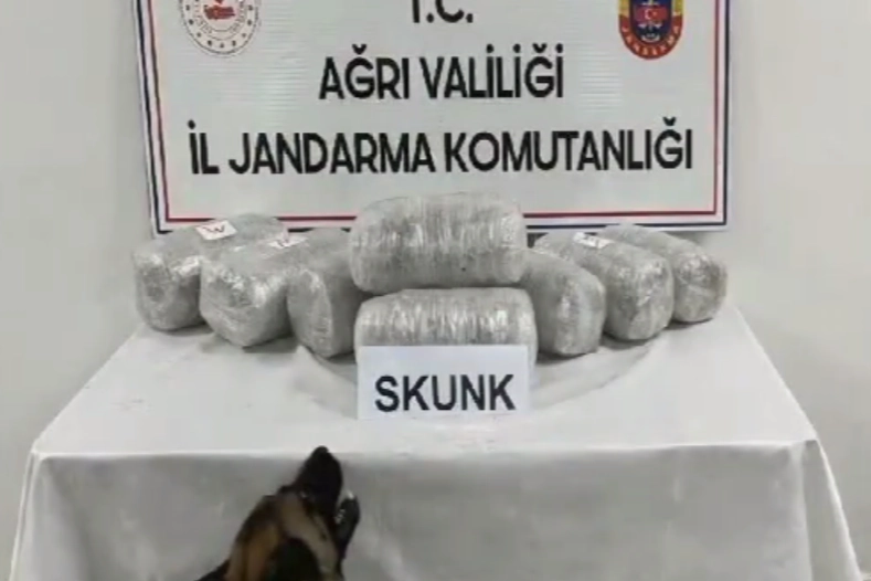 Ağrı&rsquo;da 10 kilogram skunk ele ge&ccedil;irildi
