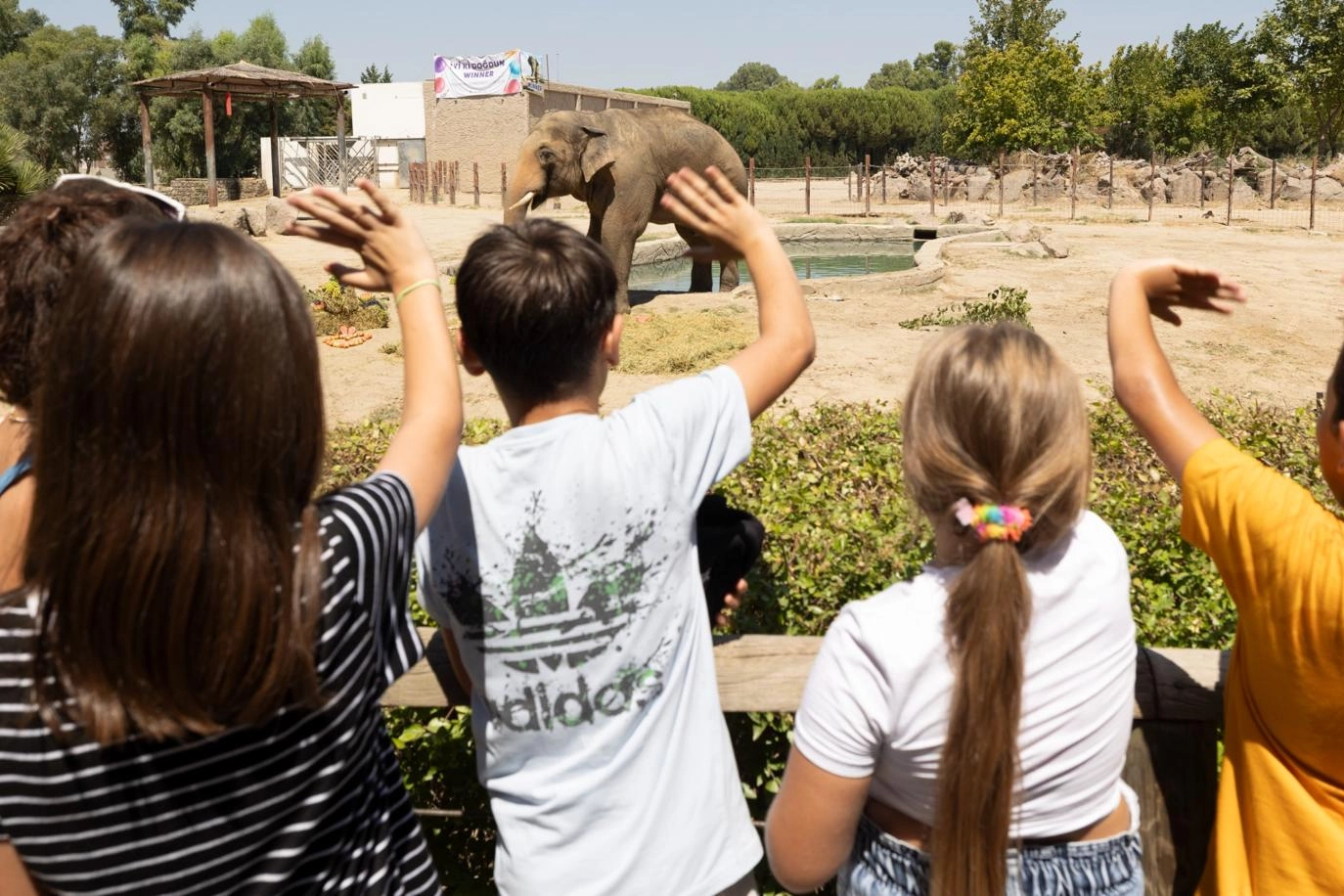 İzmir Doğal Yaşam Parkı&rsquo;nın fillerine hayat kurtaran ayak bakımı
