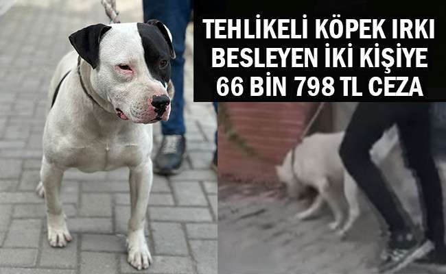 İki Kişiye 66 Bin 798 TL Ceza